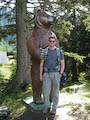 Bear (plastic)