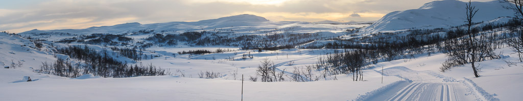 Rolling terrain