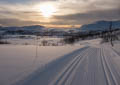 Low sun even at midday