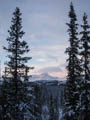 Bitihorn through the trees