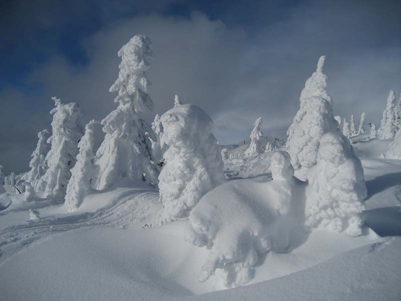 Snow Ghosts