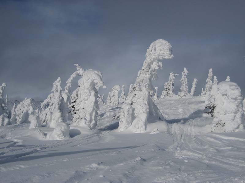 Snow Ghosts