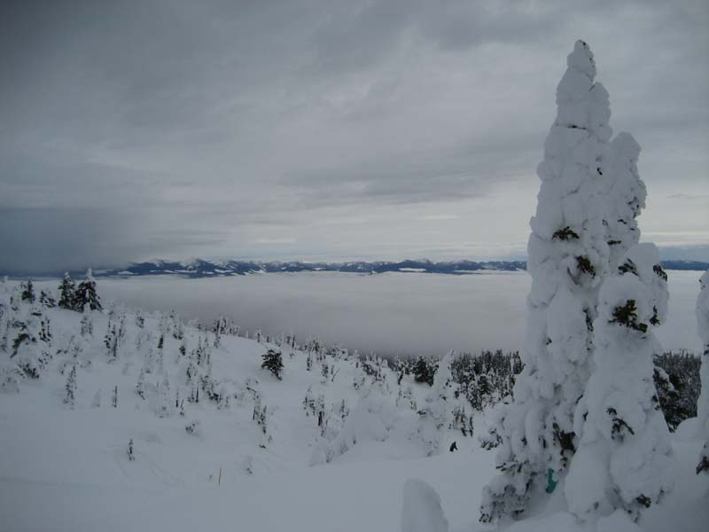 View from Enchanted Forest