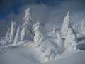 Snow Ghosts