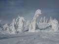 Snow Ghosts