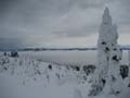 View from Enchanted Forest