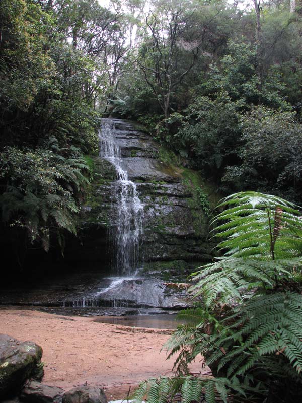 Pool of Siloam