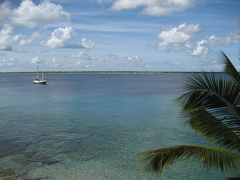 View from Balcony
