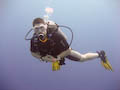 Photographerfish