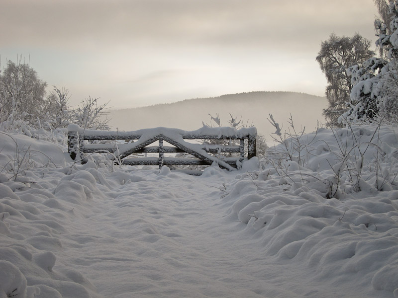 Snow Gate