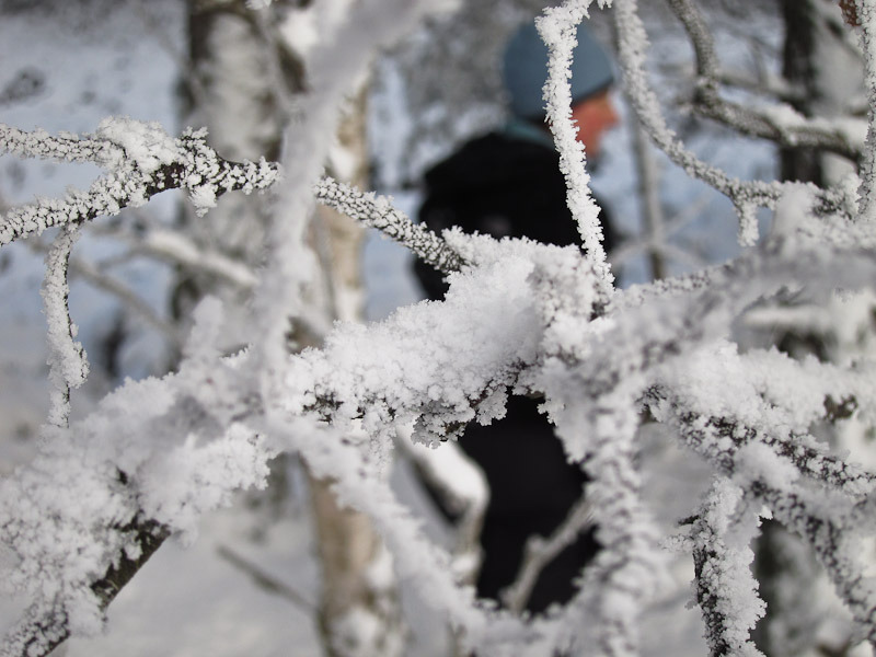 Snow Crystals