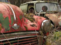 Old Morris Minor and Mini Vans