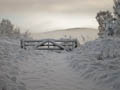 Snow Gate
