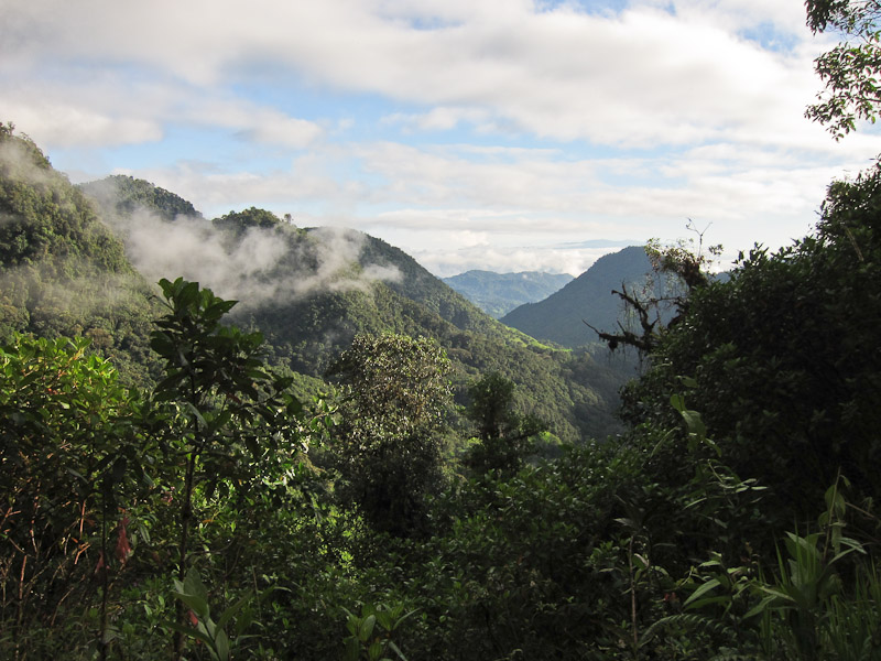Bellavista Cloud Forest
