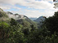 Bellavista Cloud Forest