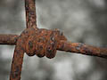 Rusty Fence