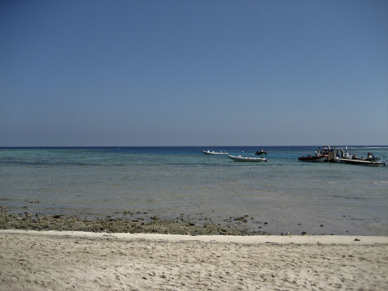 Dock and Reef