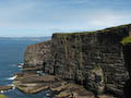 Assynt - Cliffs on Handa Island