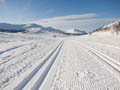  Espedalen - Ski tracks through the mountains