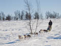  Espedalen - Husky sled