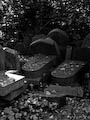 Edinburgh - Old Gravestones