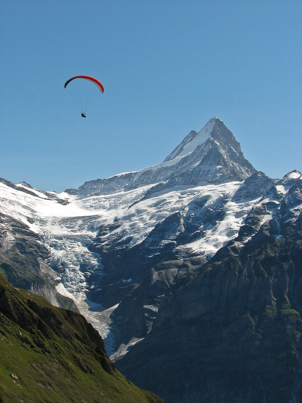 Schreckhorn and Paraglider