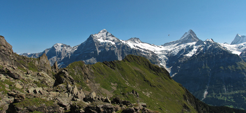 Wetterhorn and Schreckhorn