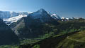 Grindelwald and the Eiger from First