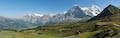 Grindelwald from Mannlichen