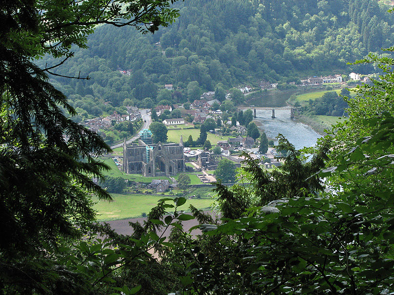 Tintern Abbey