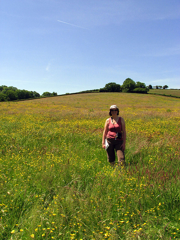 Three Castles Walk