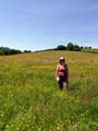 Three Castles Walk