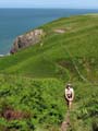 Pembrokeshire Coastal Path