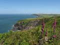 Pembrokeshire Coast